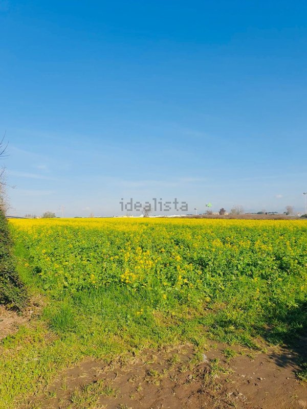 terreno agricolo in vendita a Casoria