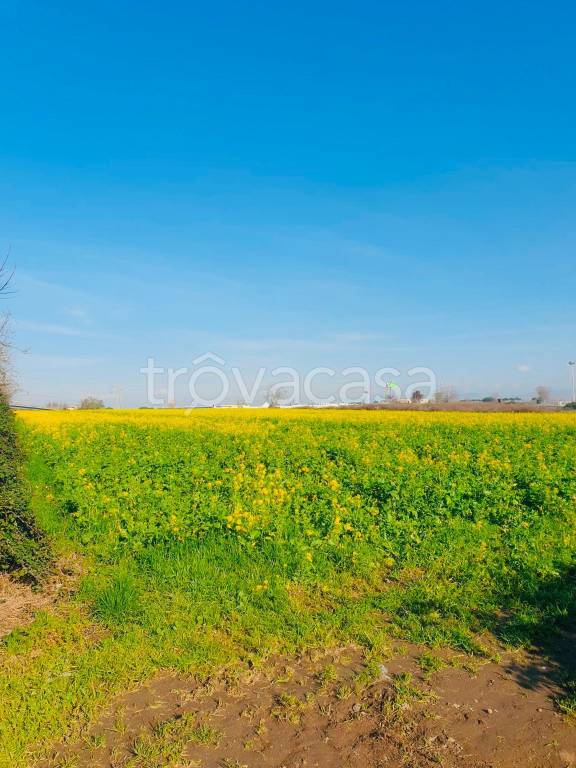 terreno agricolo in vendita a Casoria