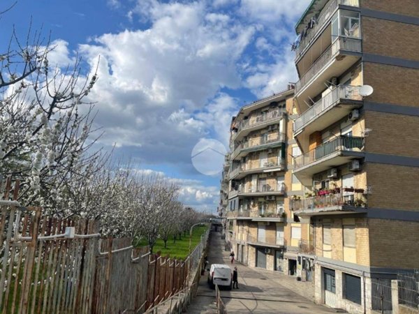 appartamento in vendita a Casoria in zona Arpino