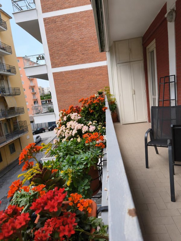 appartamento in vendita a Casoria in zona Arpino