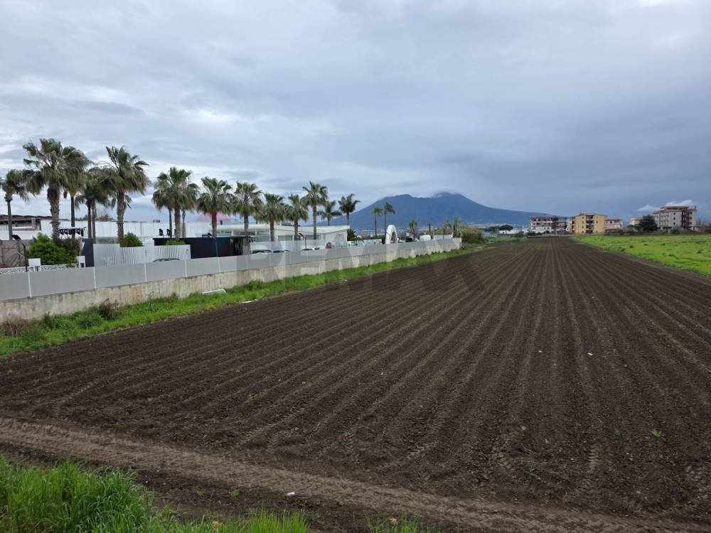 terreno agricolo in vendita a Casoria