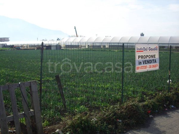 terreno agricolo in vendita a Castellammare di Stabia