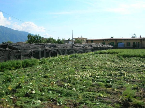 terreno agricolo in vendita a Castellammare di Stabia