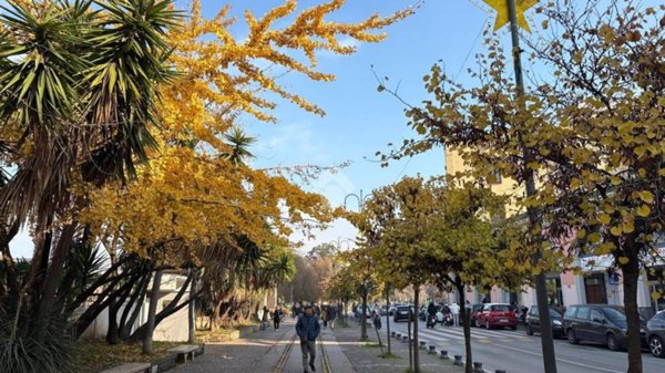 negozio in vendita a Castellammare di Stabia in zona Centro Città