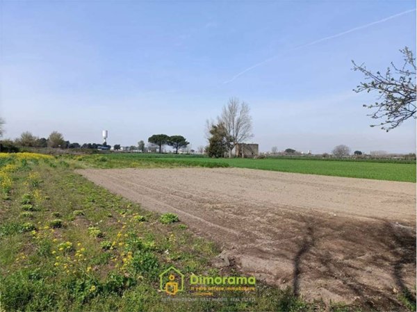 terreno agricolo in vendita a Castello di Cisterna