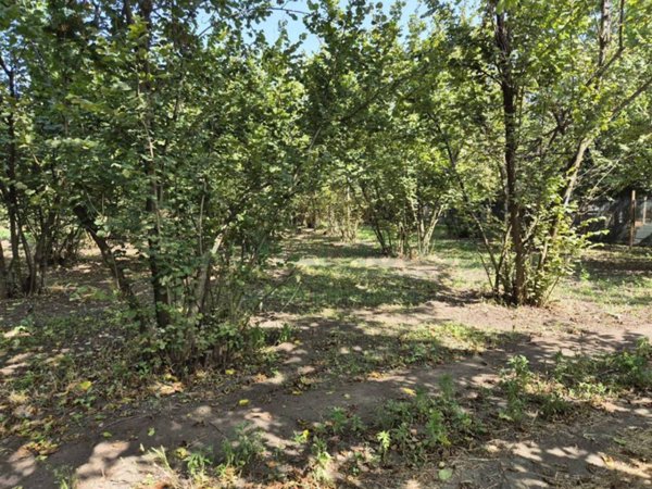 terreno agricolo in vendita a Cercola