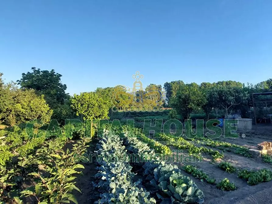 terreno agricolo in vendita a Cercola