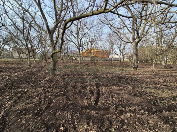 terreno agricolo in vendita a Cercola