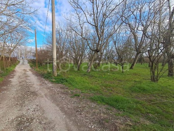 terreno agricolo in vendita a Cicciano