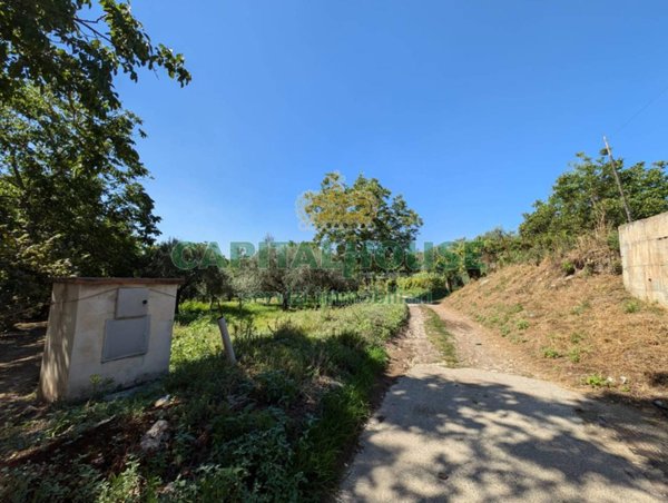 terreno agricolo in vendita a Cicciano
