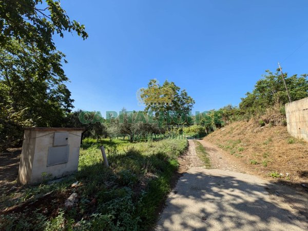 terreno agricolo in vendita a Cicciano