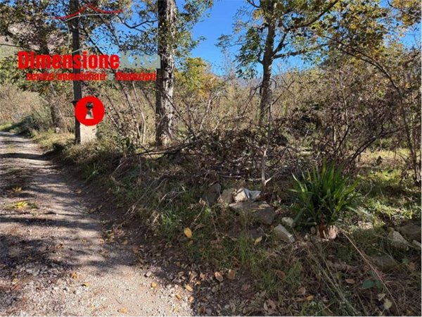 terreno agricolo in vendita a Cicciano