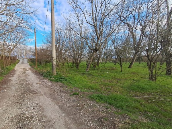 terreno in vendita a Cicciano