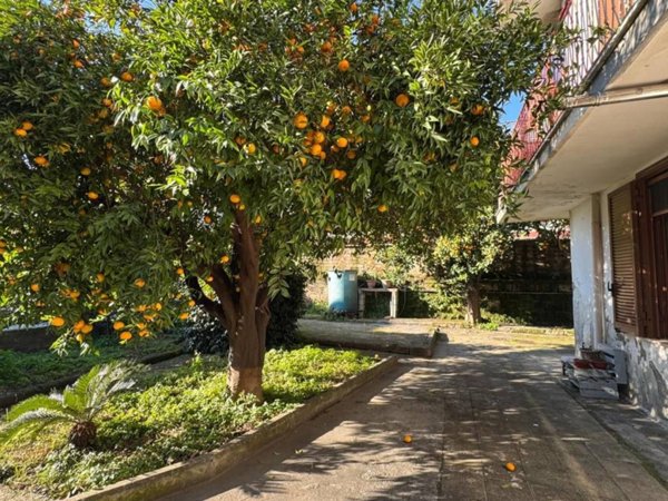 casa indipendente in vendita a Cicciano