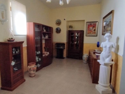 appartamento in vendita a Cicciano