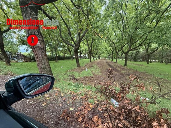terreno agricolo in vendita a Cicciano