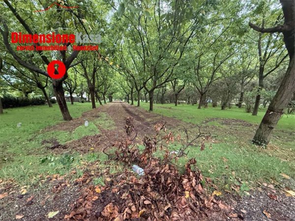 terreno edificabile in vendita a Cicciano