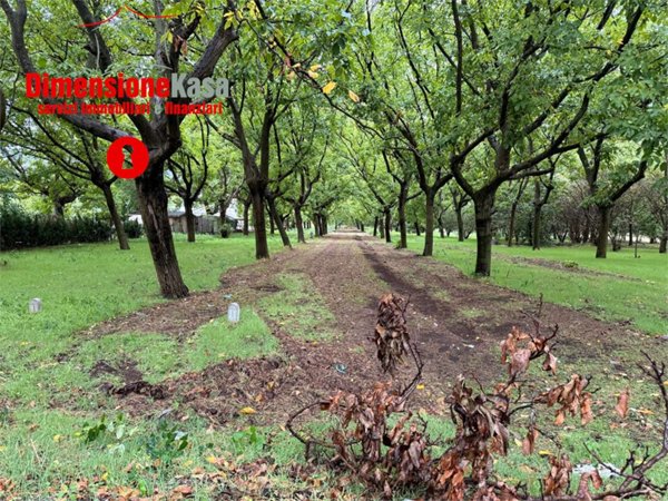terreno agricolo in vendita a Cicciano