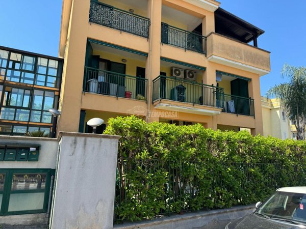 appartamento in vendita a Cimitile