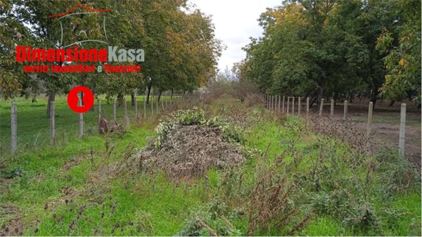terreno agricolo in vendita a Cimitile