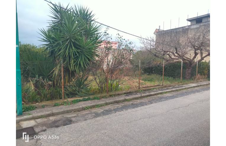 terreno agricolo in vendita a Cimitile