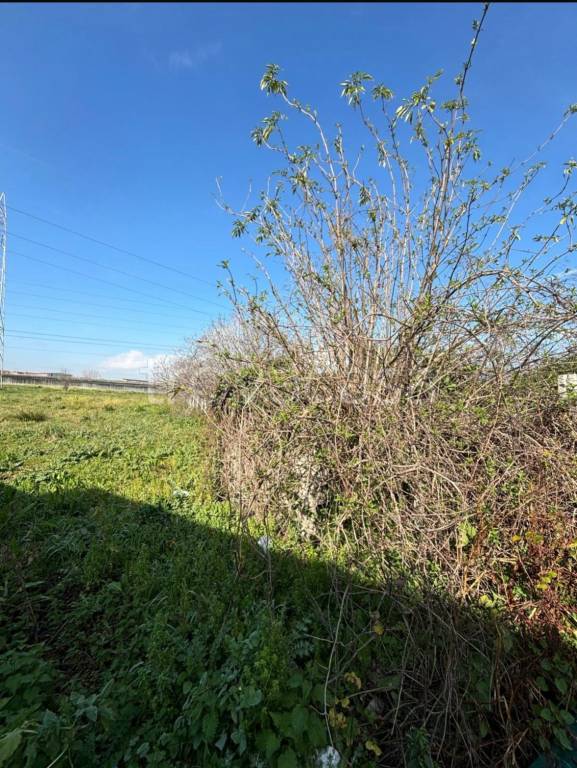 terreno agricolo in vendita a Crispano