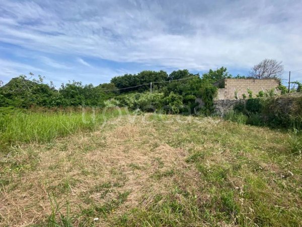 terreno agricolo in vendita a Forio