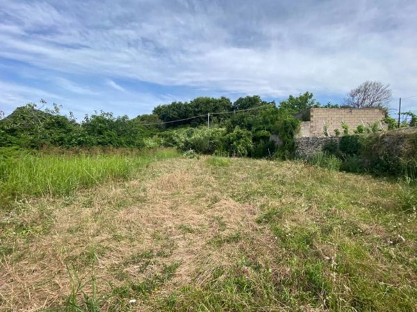 terreno agricolo in vendita a Forio