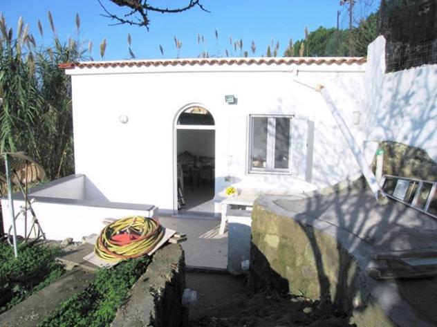 casa indipendente in vendita a Forio