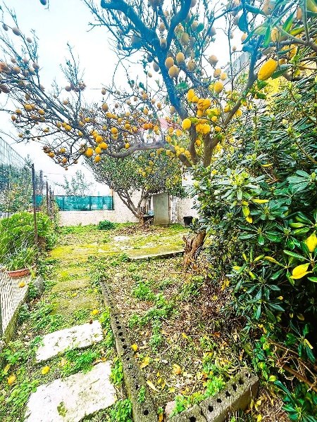 appartamento in vendita a Forio in zona Panza