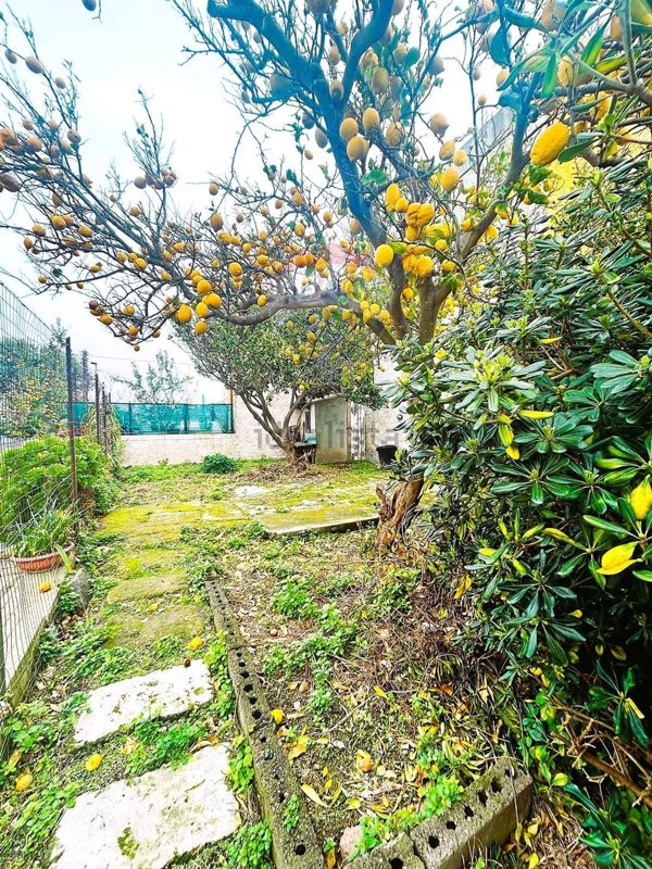 appartamento in vendita a Forio in zona Panza