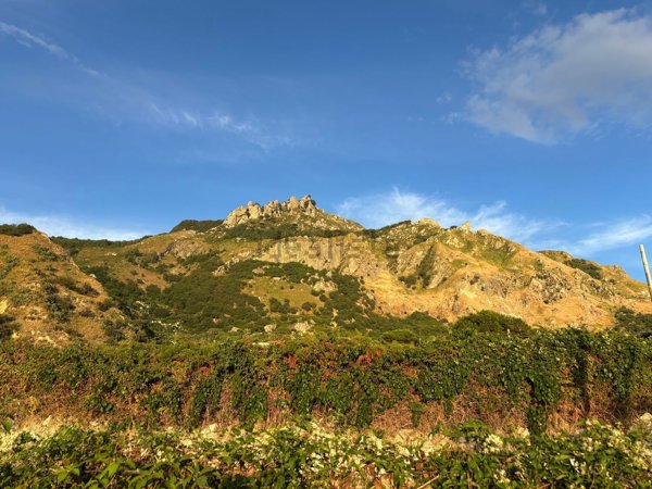 casa indipendente in vendita a Forio