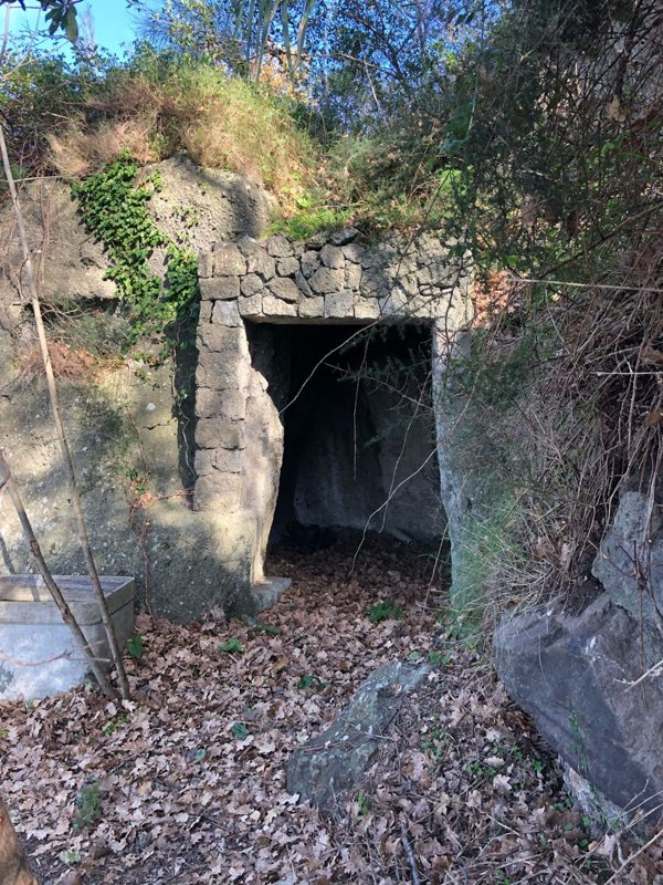 appartamento in vendita a Forio