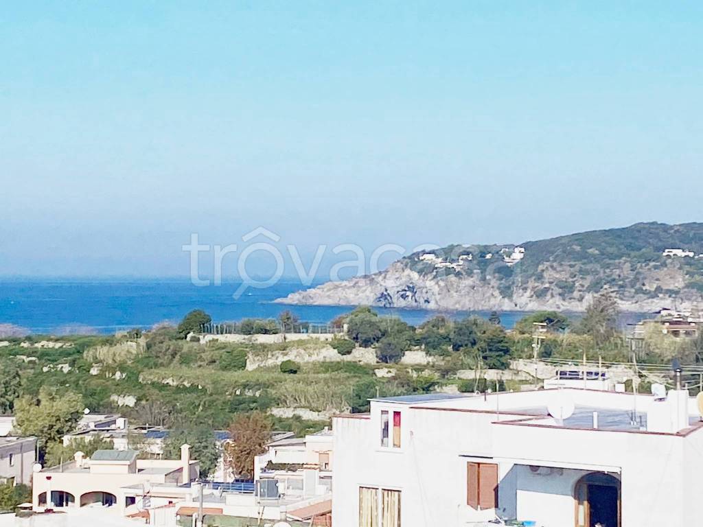 appartamento in vendita a Forio