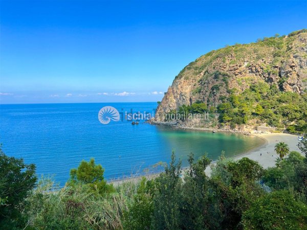 appartamento in vendita a Forio