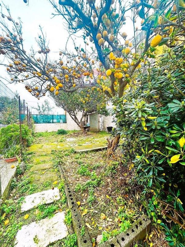 appartamento in vendita a Forio in zona Panza