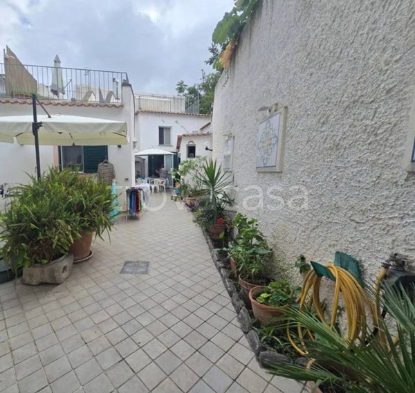 appartamento in vendita a Forio