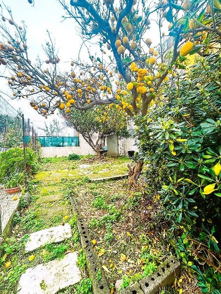 appartamento in vendita a Forio in zona Panza