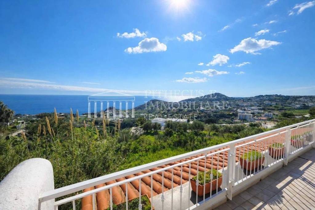 casa indipendente in vendita a Forio in zona Panza