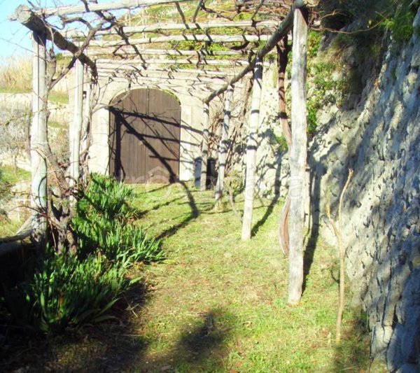 casa indipendente in vendita a Forio