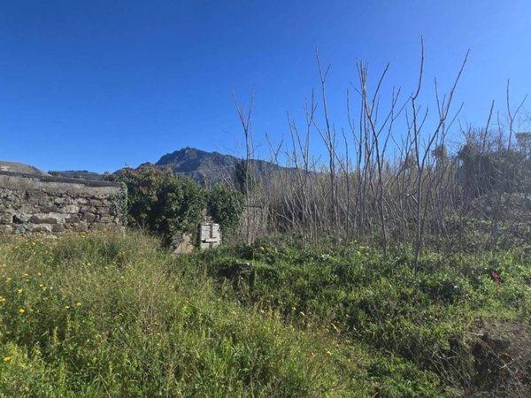 casa indipendente in vendita a Forio