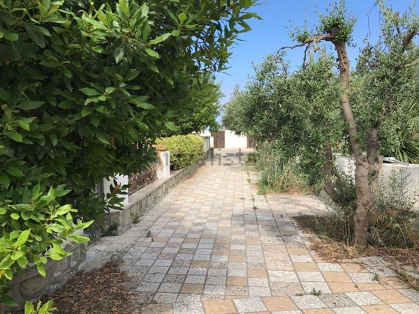 appartamento in vendita a Forio in zona Panza