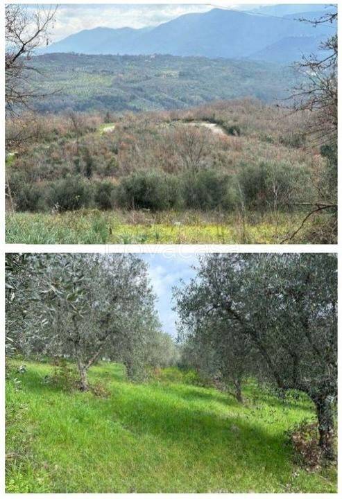 casa indipendente in vendita a Forio