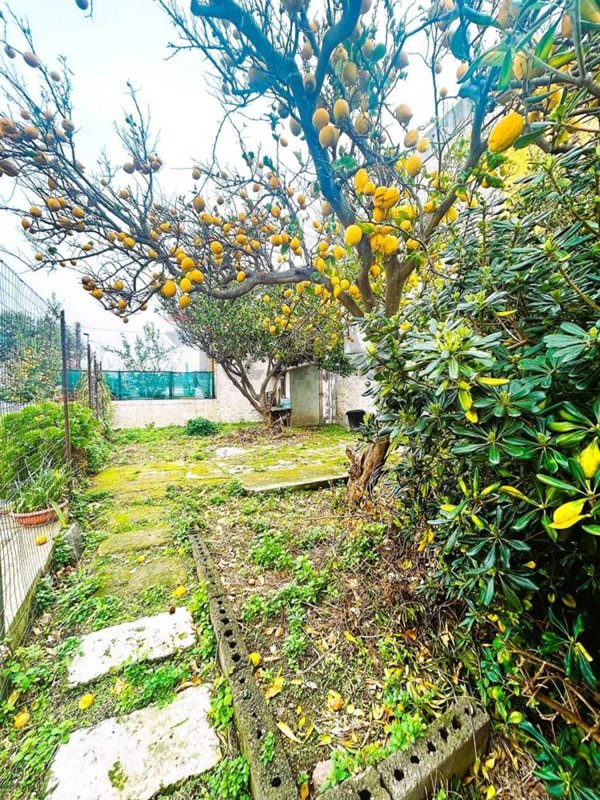 appartamento in vendita a Forio in zona Panza