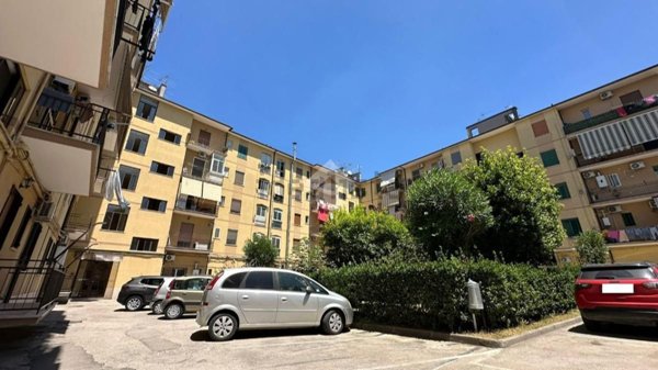 appartamento in vendita a Frattamaggiore