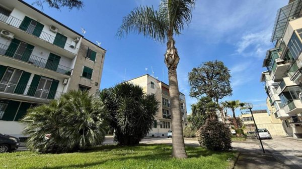 appartamento in vendita a Frattamaggiore