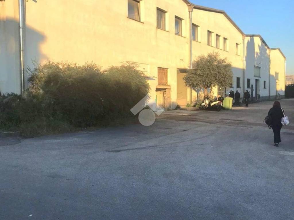 capannone in vendita a Frattamaggiore