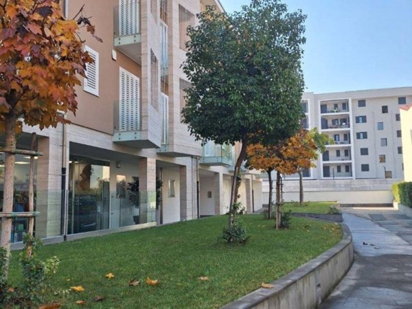 appartamento in vendita a Frattamaggiore