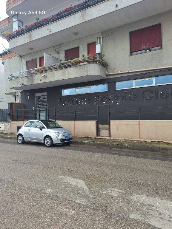 immagine annuncio 0 di 15