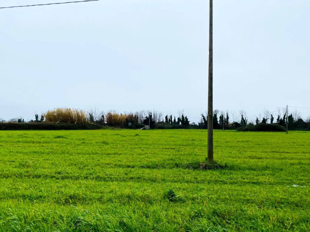 terreno agricolo in vendita a Giugliano in Campania in zona Varcaturo